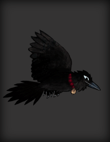 Flying Raven