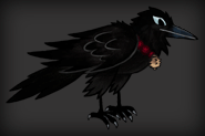 Idle Raven Animation