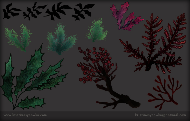 Macro Algae Assets by Kristine Synowka