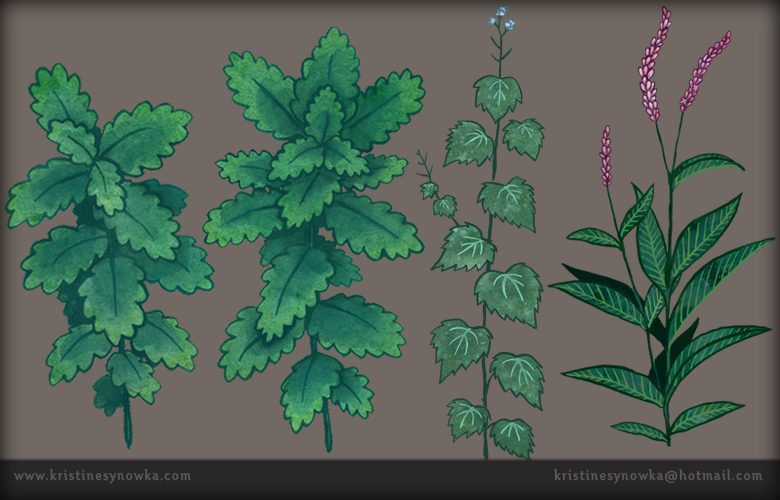 Plant Assets by Kristine Synowka
