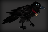 Hurrying Raven Animation